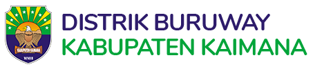 Distrik Buruway